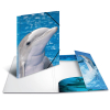 Herma 7141 Sammelmappe - DIN A4 - Delfin