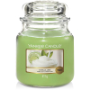 Yankee Candle Classic Medium Jar Vanilla Lime 411g