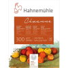 Hahnemühle Cézanne Aquarellblock - 300 g/m² - matt - 24 x 32 cm - 10 Blatt