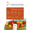 Hahnemühle Cézanne Aquarellblock - 300 g/m² - matt - 30 x 40 cm - 10 Blatt
