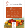Hahnemühle Cézanne Aquarellblock - 300 g/m² - rau - 30 x 40 cm - 10 Blatt