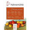 Hahnemühle Cézanne Aquarellblock - 300 g/m² - satiniert - 30 x 40 cm - 10 Blatt