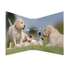 Herma 7165 Motivordner - DIN A4 - Karton - Tiere - Hunde