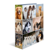 Herma 7165 Motivordner - DIN A4 - Karton - Tiere - Hunde