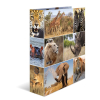 Herma 7168 Motivordner - DIN A4 - Karton - Tiere - Afrika