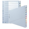 Leitz Schrägregister - DIN A4+ - blanko - Kunststoff - grau - 10 Blatt