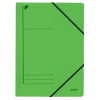 Leitz Eckspanner - DIN A4 - 250 Blatt - grün