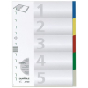 Durable Register blanko Kunststoff, A4, 5 Blatt, 21/22x29,7cm, 5-farbig