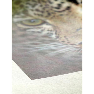 Hahnemühle Bamboo FineArt Inkjet-Papier - 290 g/m² - 50" x 12 m - 1 Rolle
