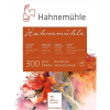 Hahnemühle Aquarellblock - 300 g/m² - rau - 42 x 56 cm - 10 Blatt