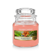 Yankee Candle Classic Small Jar -  The Last Paradise 104 g