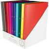 Stylex Ringbuch - DIN A4 - 2 Ringmechanik - farbig sortiert