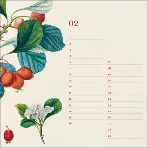 Neumann Geburtstagskalender - Alte Obstsorten