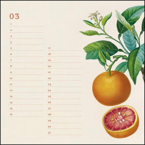Neumann Geburtstagskalender - Alte Obstsorten