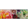 wash+dry Schmutzfangmatte Colour Blast - 60 x 180 cm