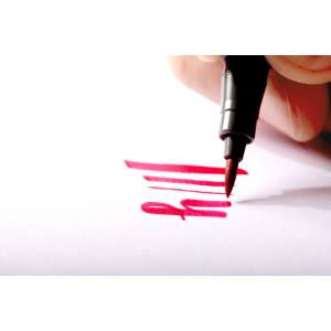 STAEDTLER pigment brush pen Reds&Pinks - 6er Kartonetui